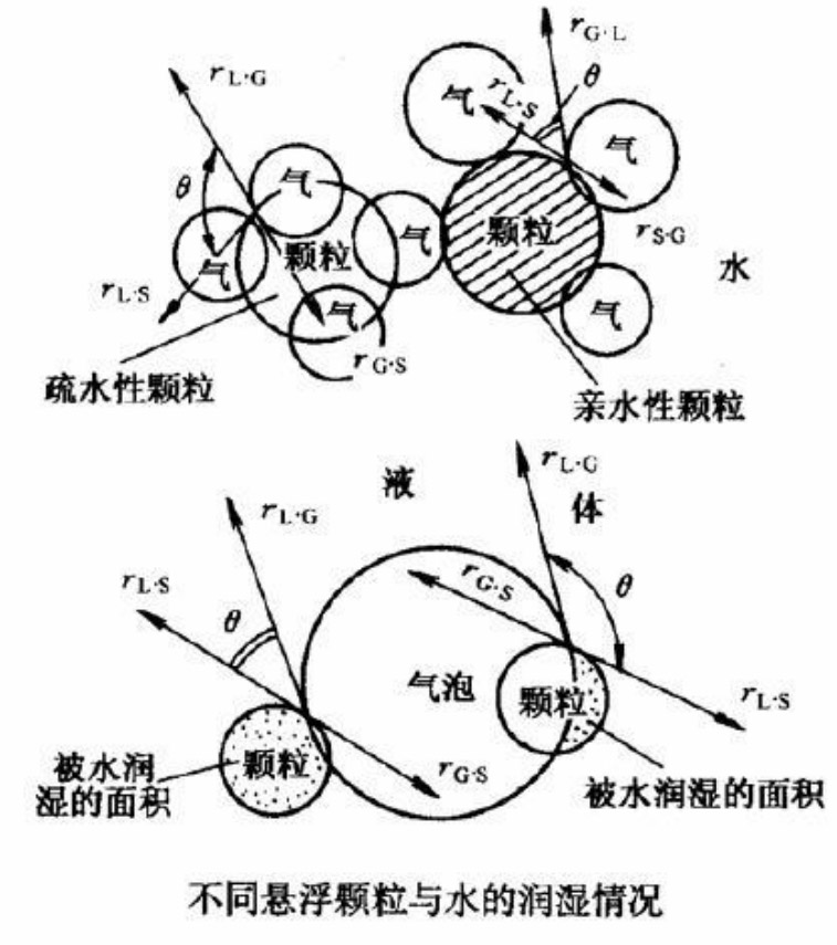 不同悬浮颗粒与水的湿润情况